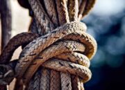 One swallow does not make the spring