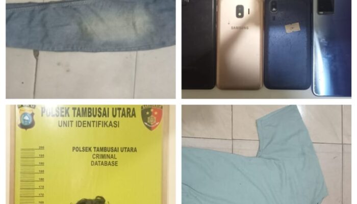Personel Polsek Tambusai Utara Tangkap Tersangka Kasus Curat