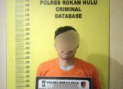 Tim Resmob Sat Reskrim Polres Rohul Ringkus Tersangka Tindak Pidana Penggelapan Pupuk Perusahaan di Batam