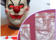 Bongkrek Disegap Polisi, Kenapa Ya ?