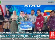 TP PKK Rohul Raih Juara Umum Pada Lomba Harkannas.
