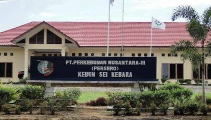 Terkait Penyerangan Danton di PTPN3 Kebun Kebara, PAPAM: Saya Tidak Melarikan Diri, Ini Kekeliruan