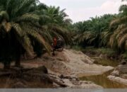 Ketua LSM Penjara DPC ROHUL, Desak Kapolsek Kunto Darussalam Tutup Aktivitas Galian C Ilegal Diwilkum Polsek Kunto Darussalam