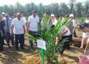 PTPN IV Regional I Melaksanakan Program Penanaman Perdana Peremajaan Sawit Rakyat