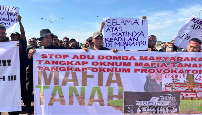 Proyek Strategis Nasional PTPN IV Regional 1 Kebun Batang Toru Merugi 1 Milyar, 21 Hari Tidak Bisa Panen.