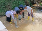 PKS Sei Baruhur Tebar 1000 Benih Ikan di Torgamba
