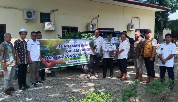 PTPN IV Regional 1 Kebun Aek Torop Tanam Bibit Buah untuk Peringati Hari Lingkungan Hidup
