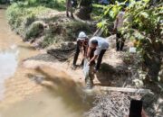 Peringati Hari Lingkungan Hidup, PTPN IV Regional 1 PKS Aek Torop Tebar Bibit Ikan di Sungai