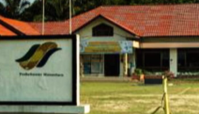 Pemicu Terjadinya Pencurian Sawit Di PTPN IV Regional 1, Torgamba Labuhanbatu Selatan