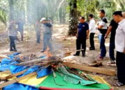 Komitmen Berantas Narkoba, Kinerja Polsek Kualuh Hulu Patut Diapresiasi.