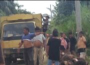 Poktan Pola PIR Cindur Sesalkan Penjarahan Sawit di Lahan Mereka