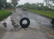 Jalan Rusak Parah, Truk Muatan Berat Bebas Melintas di Jalan Sultan Syarif Kasim Km 55, Kadishub Pelalawan Dinilai Terkesan “Buta dan Tuli”