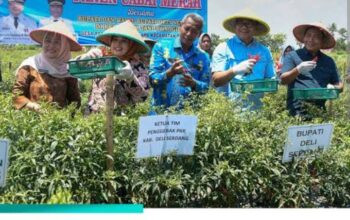 Bupati Genjot Program Unggulan Ketahanan Pangan, Deli Serdang Raih Prestasi Inflasi Terendah Per Januari 2026