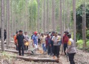 Sambangi Lokasi Pembunuhan Gajah, Kapolda Riau Tegaskan Scientific Crime Investigation dalam Pengusutan Kasus