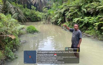 Aktivis Tim LHK Hijau Indonesia Investigasi Ikan Mati di Sungai Labura, Warga Duga Limbah PKS PTPN IV Unit Berangir Cemari Aliran Air