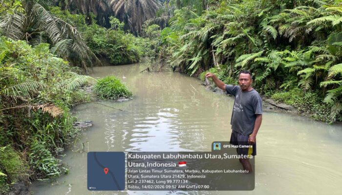 Aktivis Tim LHK Hijau Indonesia Investigasi Ikan Mati di Sungai Labura, Warga Duga Limbah PKS PTPN IV Unit Berangir Cemari Aliran Air