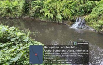 Tim Hijau LHK Labura Laporkan Dugaan Pencemaran Limbah Sawit ke Aliran Sungai Berangir–Aek Tapa