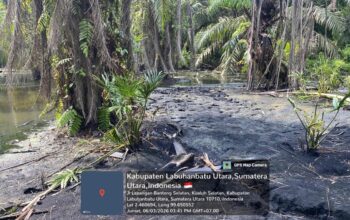 Warga Labura Keluhkan Limbah Debu Boiler PT Sinar Sawit Lestari, Kebun Sawit Tak Menghasilkan Buah