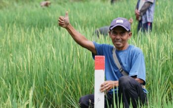 Mudik ke Kampung Halaman? Jaga Batas Tanah sebagai Langkah Awal Cegah Konflik Antartetangga