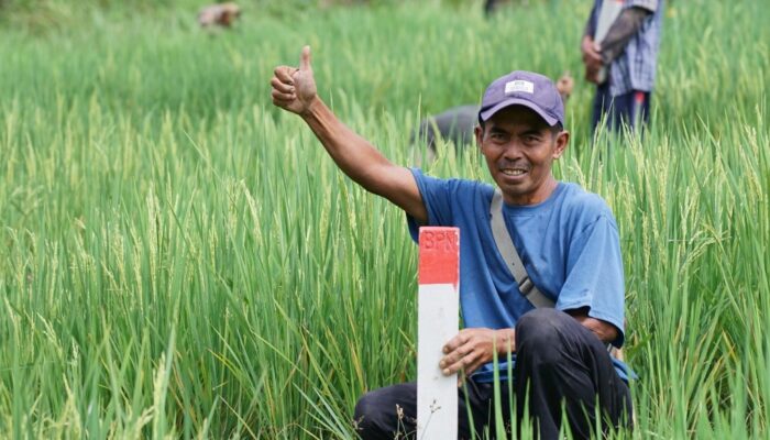 Mudik ke Kampung Halaman? Jaga Batas Tanah sebagai Langkah Awal Cegah Konflik Antartetangga