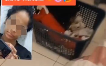 Tragis! Anak Dipukul dan Diinjak Hingga Kepala Bocor, Polisi Diminta Usut Tuntas.