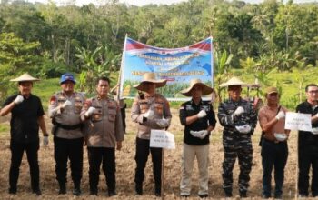 Polres Nias Selatan Dukung Ketahanan Pangan, Laksanakan Penanaman Jagung Serentak Kuartal I 2026