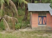 Diduga Pindah Lokasi, Peredaran Sabu di Aek Batu Timur Kian Meresahkan Warga