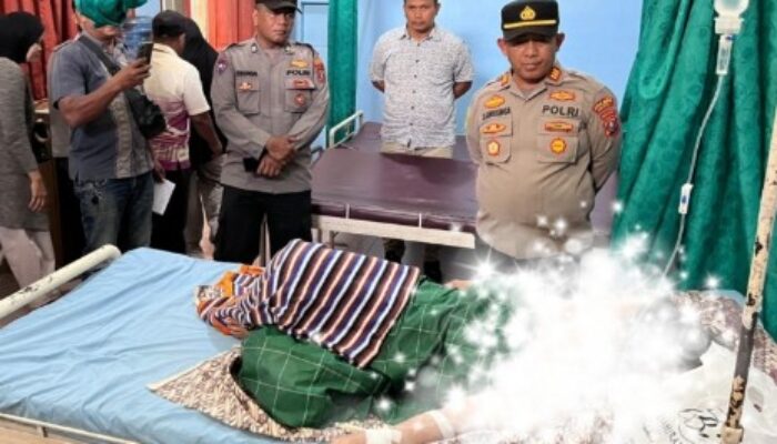 Sadis! Ibu Rumah Tangga Ditikam Menantu di Aek Batu, Alami 9 Luka Tusuk
