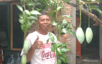 Mendukung Program Asri Lingkungan, Seribu Bibit Tanaman Siap Diluncurkan