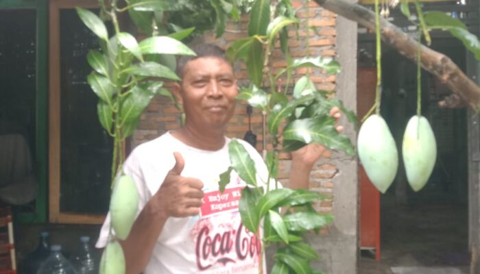 Mendukung Program Asri Lingkungan, Seribu Bibit Tanaman Siap Diluncurkan