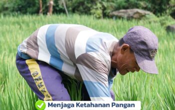 Kementerian ATR/BPN Terus Memperkuat Pengawasan terhadap pemanfaatan Lahan Pertanian