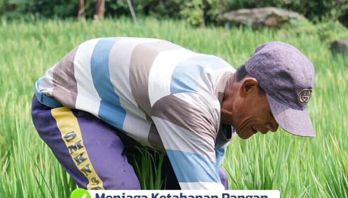 Kementerian ATR/BPN Terus Memperkuat Pengawasan terhadap pemanfaatan Lahan Pertanian