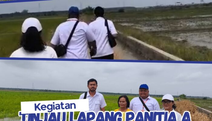 Kantor Pertanahan Kabupaten Serdang Bedagai Tinjau Lapang Panitia A di Desa Sei Belutu Kecamatan Sei Bamban.