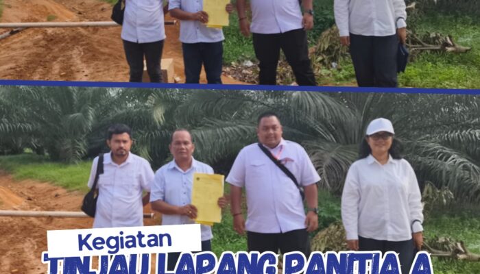 Kantor Pertanahan Kabupaten Serdang Bedagai Tinjau Lapang Panitia A di Desa Sinar Kasih Kecamatan Sei Bamban