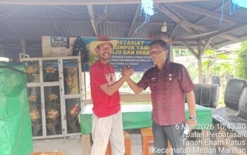 Kelompok Tani Maju dan Berkah Bersama dan PKK Terima Kunjungan Dinas Ketahanan Pangan  dan Perikanan Kota Medan