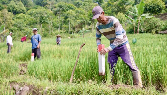 Pasang Patok, Cara Sederhana Cegah Sengketa Tanah Dengan Tetangga