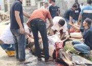 BKM Masjid Annajah Sembelih 6 Ekor Lembu dan 6 Kambing, 1.050 Kupon Dibagikan ke Masyarakat