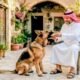 BUKAN SEKADAR HEWAN PELIHARAAN: KETIKA ISLAM MEMBOLEHKAN ANJING UNTUK BERBURU, BERTANI, MENJAGA TERNAK DAN RUMAH